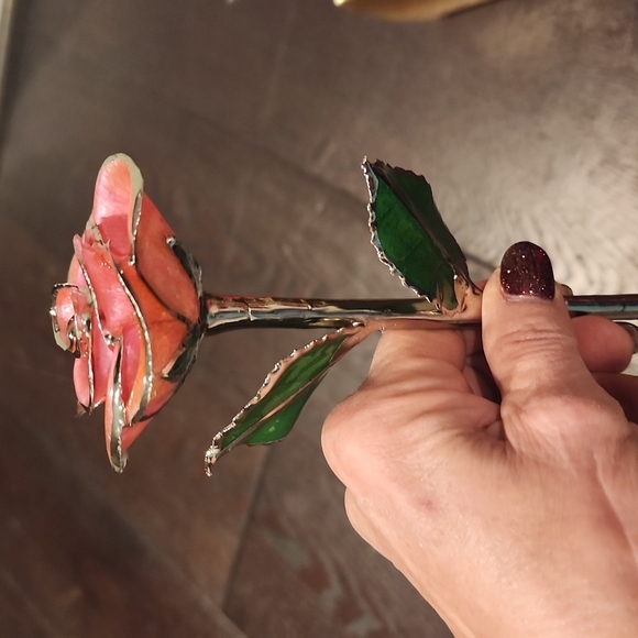 Steven Singer Real Pink Rose Preserved and Dipped in Platinum - Picture 6 of 14